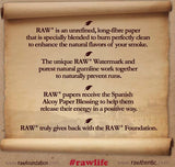 Cone Filter Tips - RAW